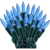 100 LED Blue Led Christmas Lights Decoration -Christmas Decorations Store 100 Count Blue Led Christmas Lights Decoration 结果 1 600x600 1