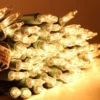 2x150 Warm White Christmas Lights 2 2x150 Warm White Christmas Lights -Christmas Decorations Store 150 Counts Clear Green Wire Christmas Light Set of 2 1 result 1 600x600 1