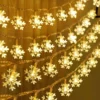 2x40 LED Warm White Led Snowflake String Lights 16ft