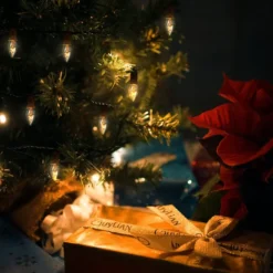 25pcs C7 Christmas Replacement Light Bulb -Christmas Decorations Store 25 Pcs C7 Incandescent Bulb 7 result 600x600 1