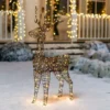 3ft 80 LED Christmas Rattan Reindeer Buck