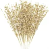 24pcs Gold Christmas Tree Berry Stems 20in -Christmas Decorations Store A1FjTGX6TAL. AC SL1500 结果 600x618 1