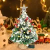 50 LED Prelit Tabletop Christmas Tree With String Lights 24in -Christmas Decorations Store Prelit Tabletop Flocked Christmas Tree with 50 Warm White String Lights 24in 1 result 600x600 1