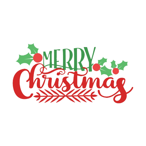 Christmas Decorations Store